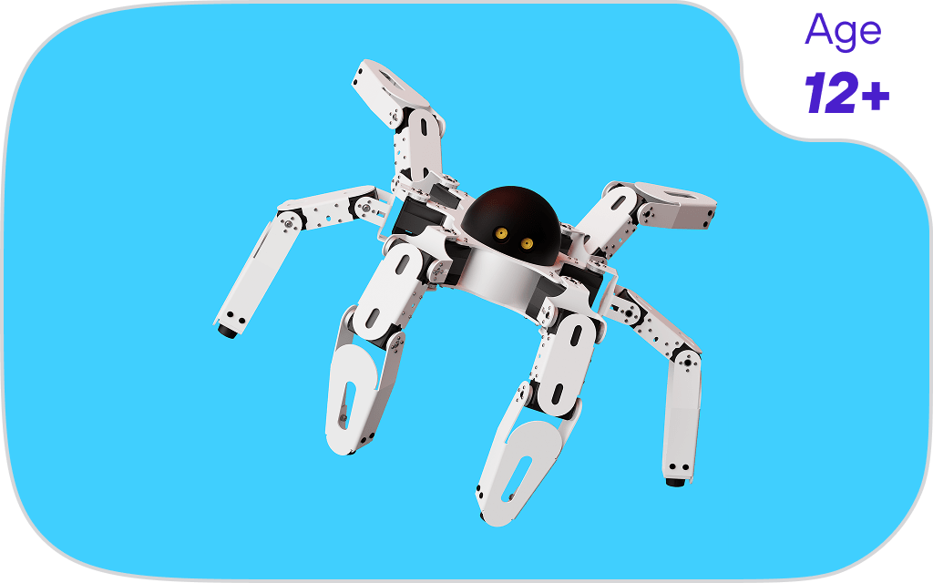 Crawl-e